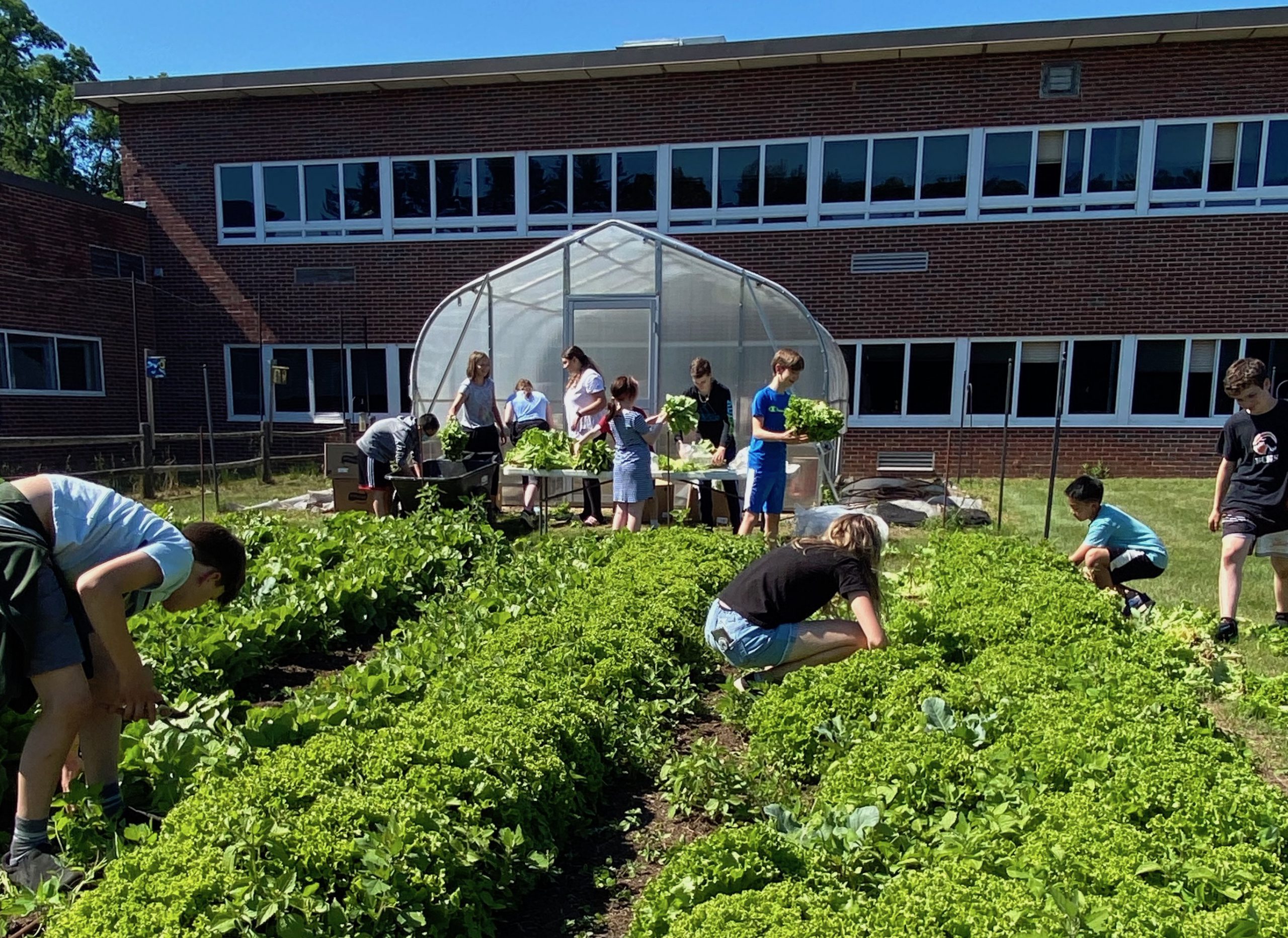 students working in school garden