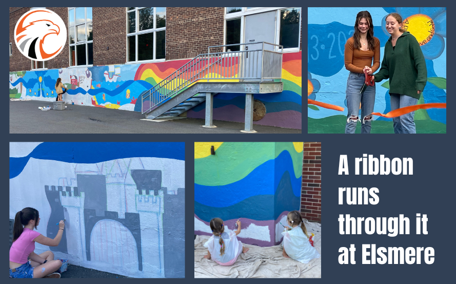 collage of mural photos