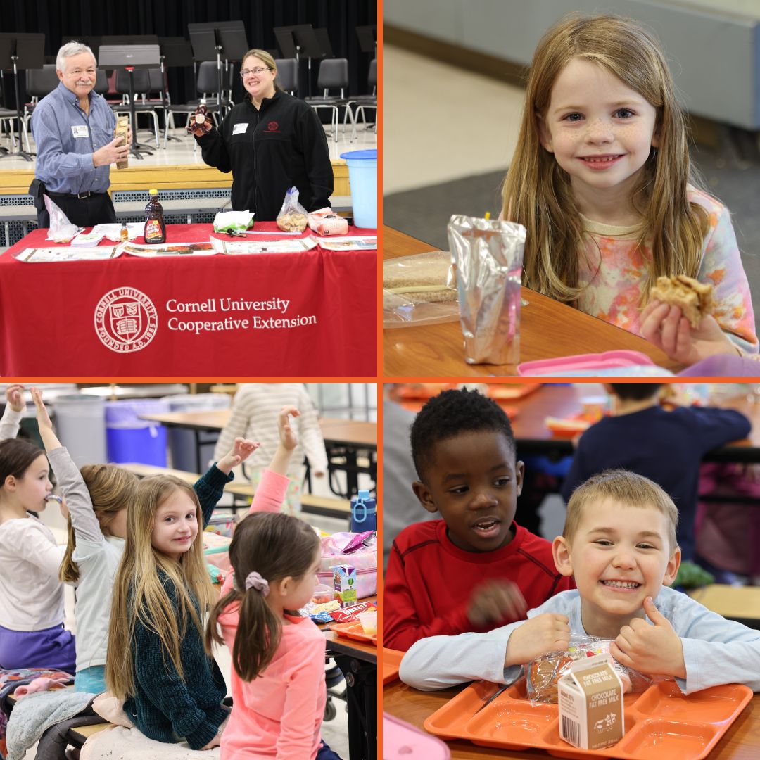 CCE educators, and three photos of students enjoying the presentation