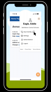 Screen view of Aspen app indicating where to click to view the full site.
